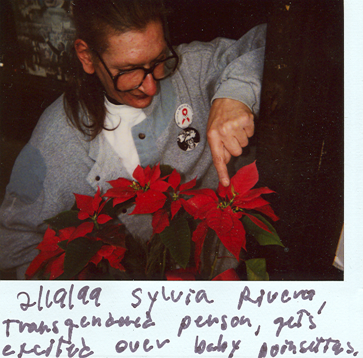 Download the full-sized image of A Photograph of Sylvia Rivera Pointing at Baby Poinsettias