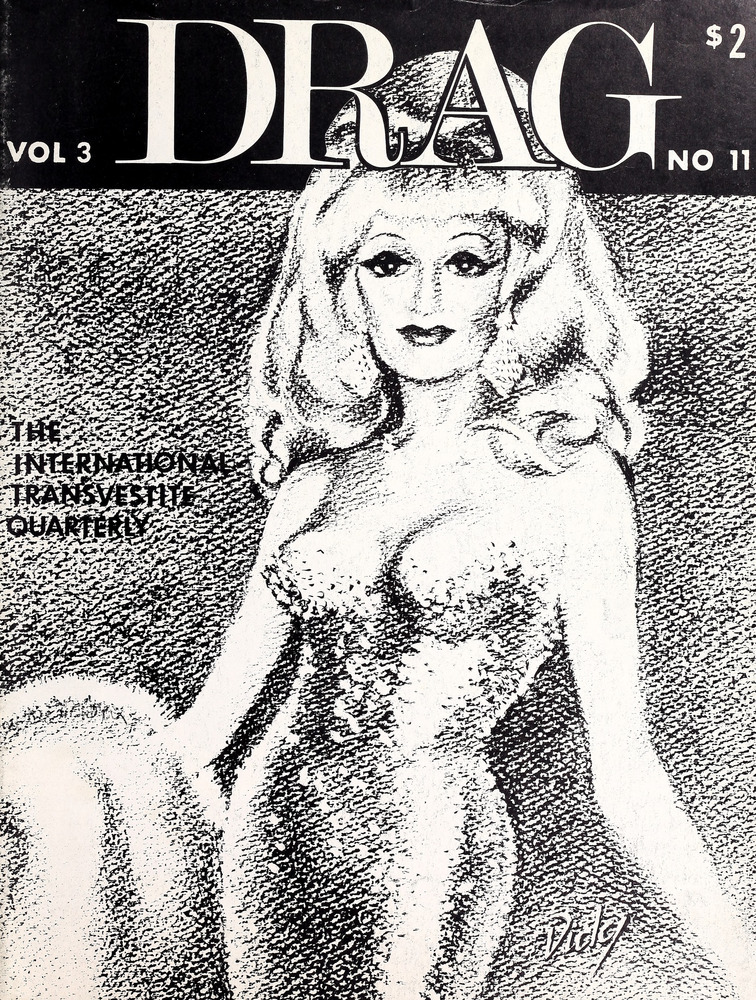 Download the full-sized image of Drag Vol. 3 No. 11 (1973)