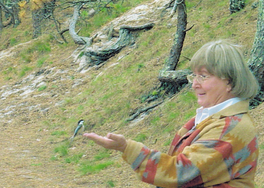 Download the full-sized image of Alison Laing Holds Bird