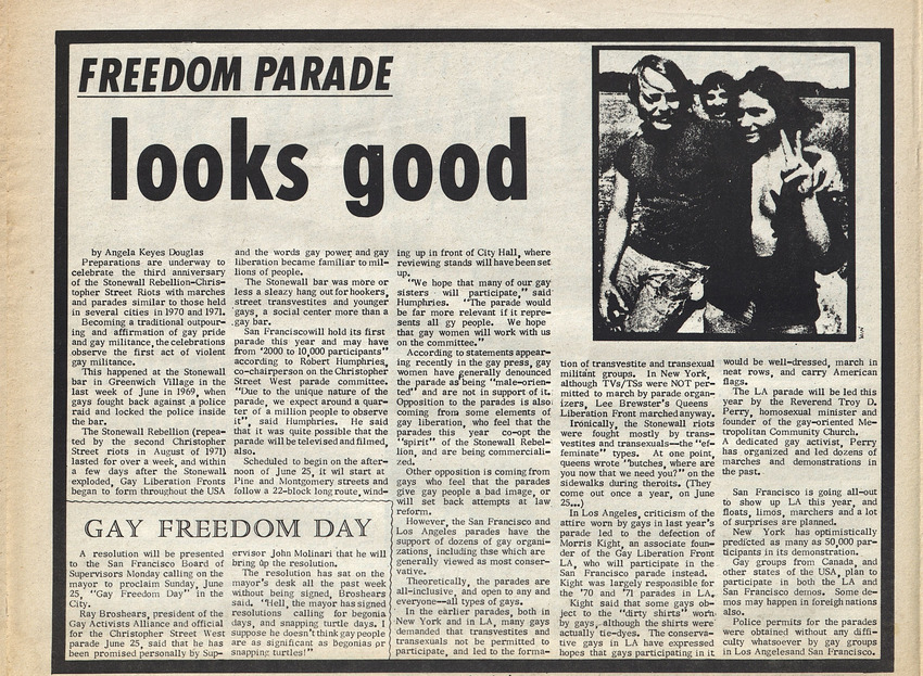 Download the full-sized PDF of Freedom Parade Looks Good