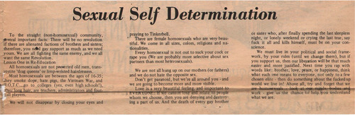 Download the full-sized image of Sexual Self Determination