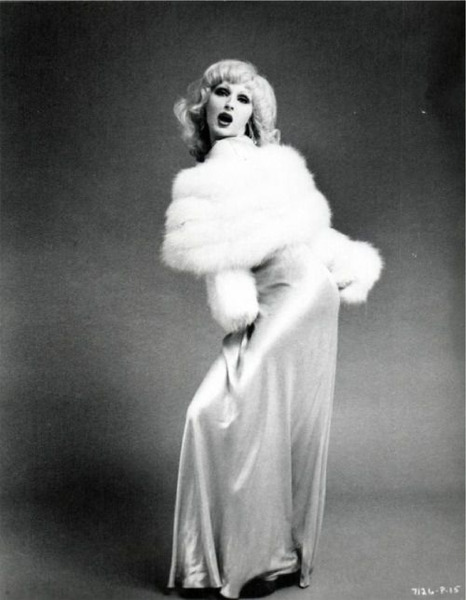Download the full-sized image of Candy Darling posing in gown and fur (3)