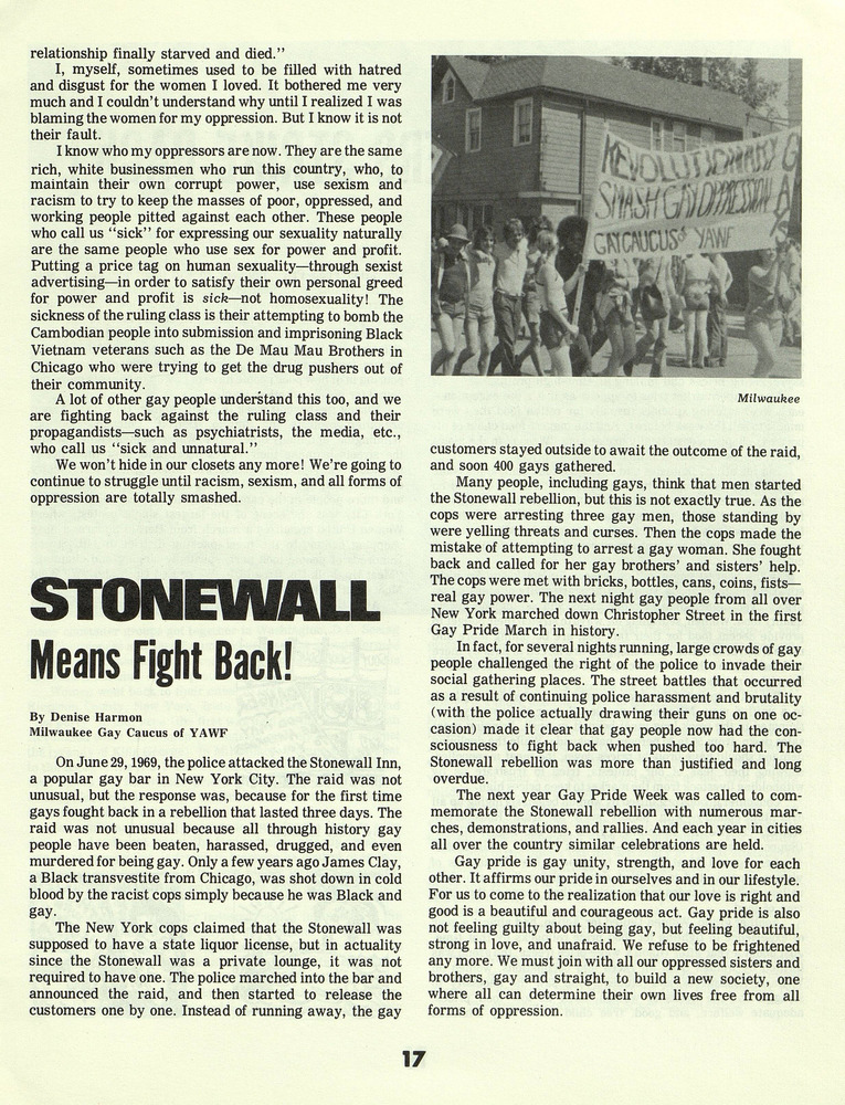 Download the full-sized PDF of Stonewall Means Fight Back