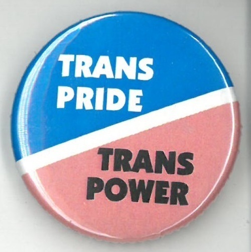 Download the full-sized image of Trans Pride Trans Power