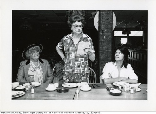 Download the full-sized image of Fantasia Fair, 1985-1989: "luncheon seminars" (1)