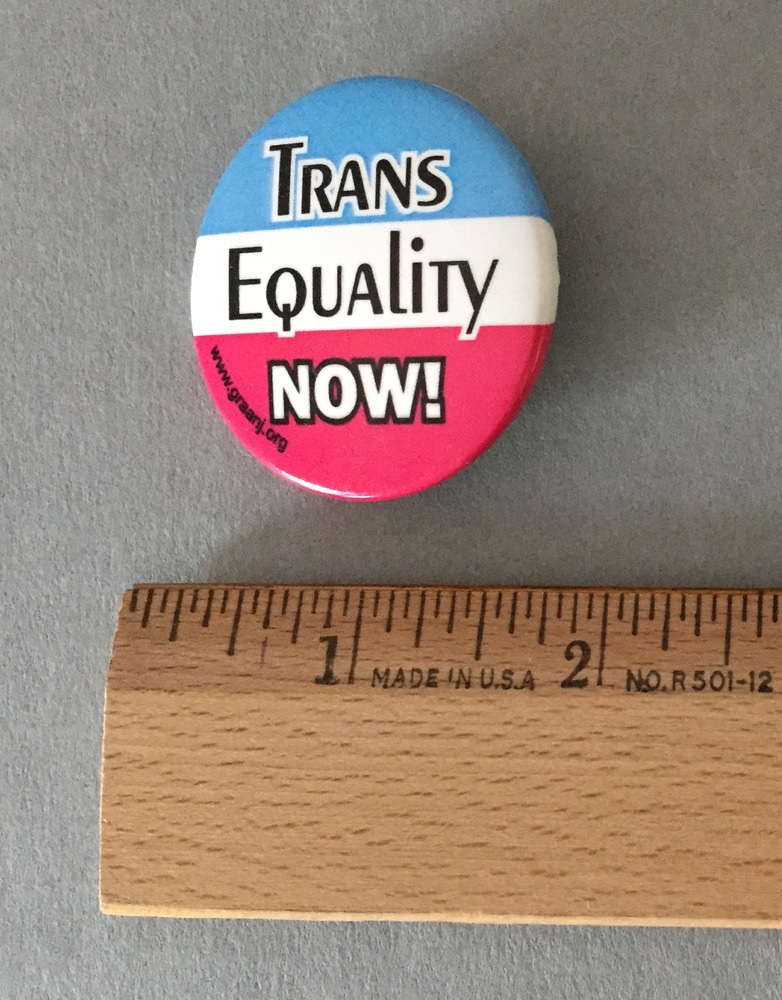 Download the full-sized PDF of Trans Equality Now!