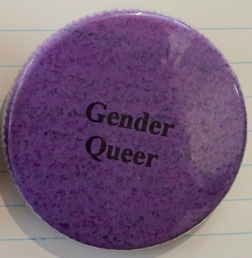 Download the full-sized image of Gender Queer (1)