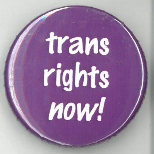 Download the full-sized image of trans rights now!