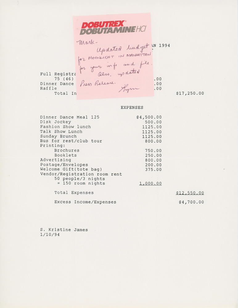 Download the full-sized PDF of Financial Report Greater New York Gender Alliance, 1994